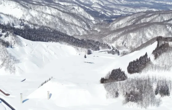 2025年2月末の現場状況